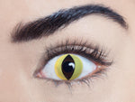 WILD CAT Halloween Contact Lenses